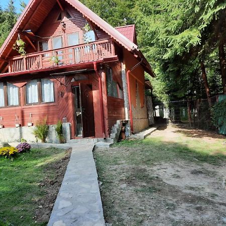 Casuta Paterau Cheia, Prahova Villa Кея Екстериор снимка