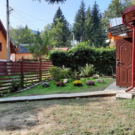 Casuta Paterau Cheia, Prahova Villa Кея Екстериор снимка