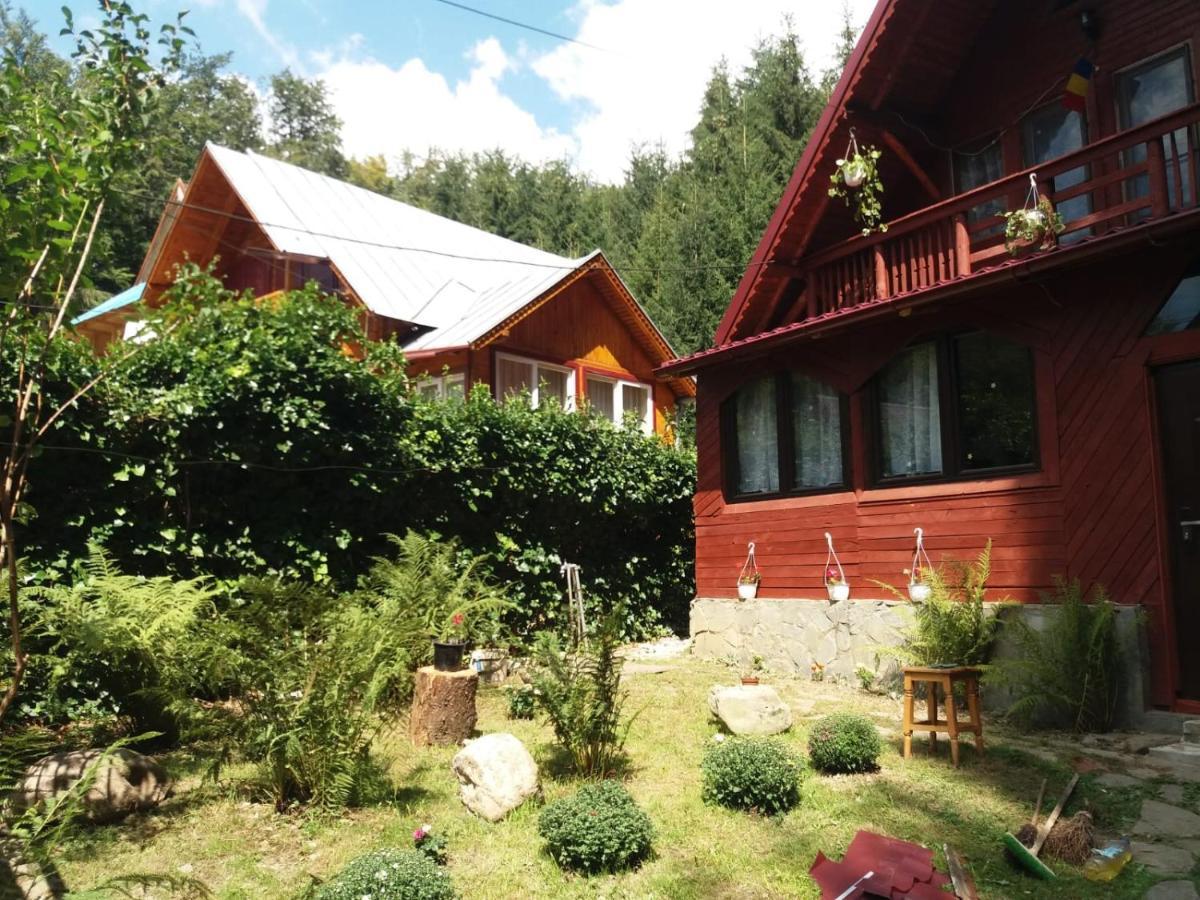 Casuta Paterau Cheia, Prahova Villa Кея Екстериор снимка