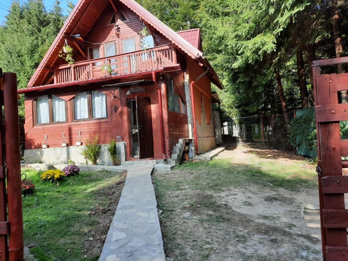 Casuta Paterau Cheia, Prahova Villa Кея Екстериор снимка